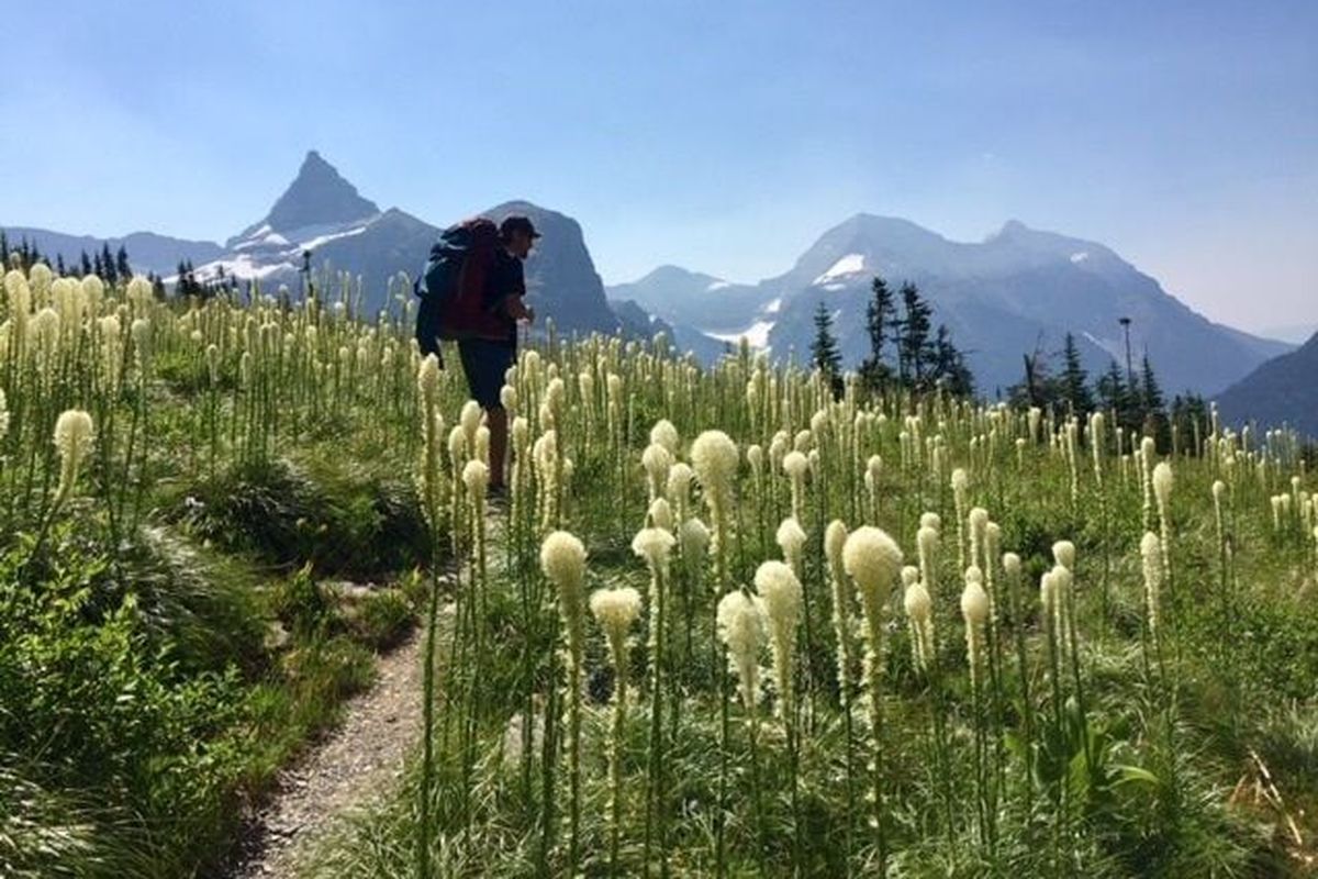 vehicle reservations - Glacier National Park (U.S. National Park