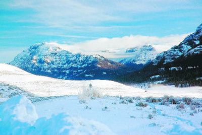 The Lamar Valley at Yellowstone offers visitors a good but not guaranteed chance to see wolves running free. Usually the wolves are more apt to be seen at daybreak. 
 (Mike Brodwater photo / The Spokesman-Review)