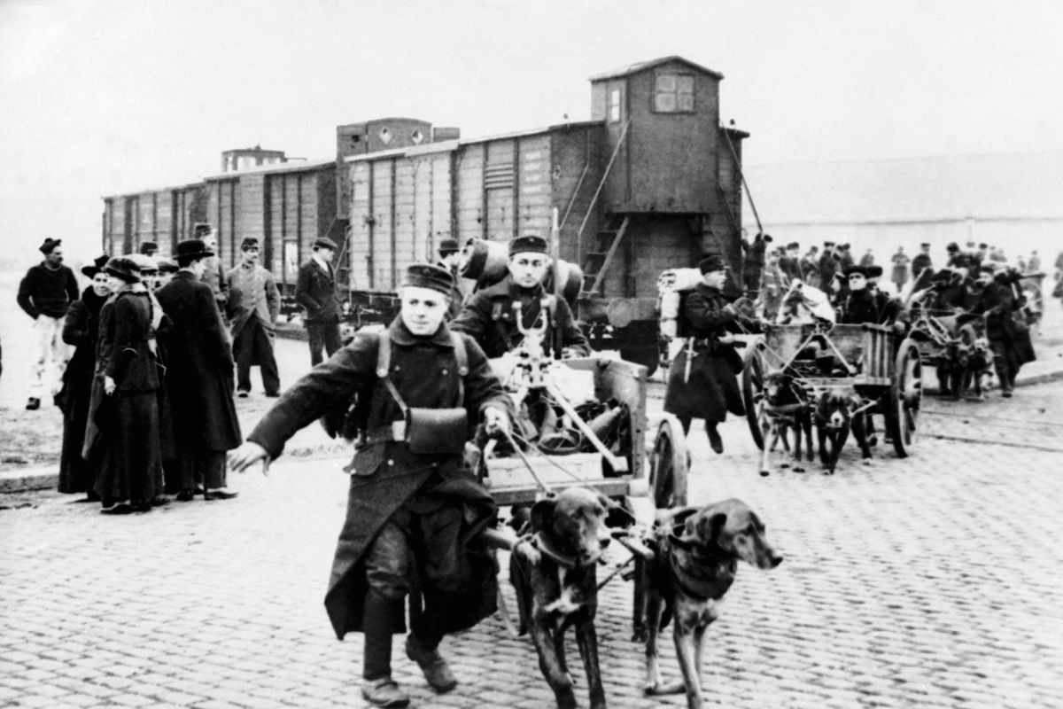 In this undated WWI file photo, soldiers move toward the front with their machine guns and ammunition pulled by dogs in Belgium. They were messengers, spies, sentinels and the heavy haulers of World War I, carrying supplies, munitions and food and leading cavalry charges. The horses, mules, dogs and pigeons were a vital part of the Allied war machine, saving countless lives and dying by the millions. (AP)