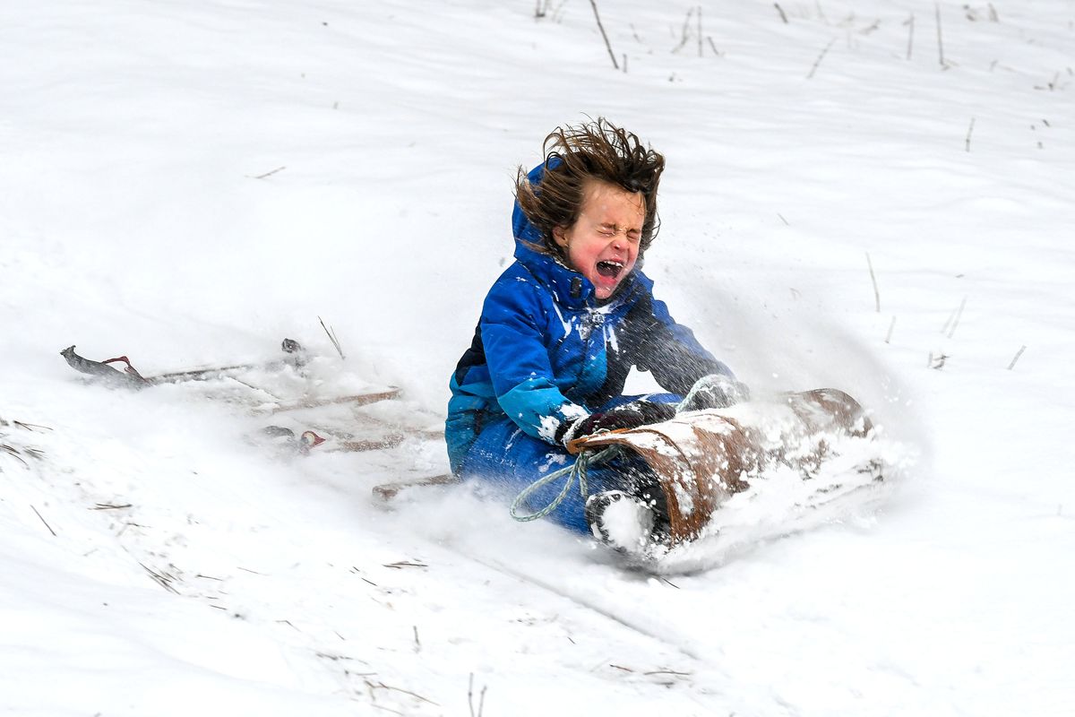 Corin Mayer, 8, takes a ride down a slope at Underhill Park on Monday on a wooden toboggan that has been in his grandmother’s family since the 1960s.  (DAN PELLE/THE SPOKESMAN-REVIEW)