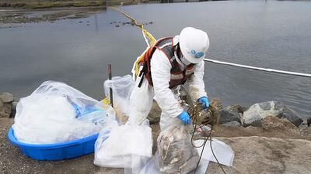 Workers are collecting oil deposits from the environmentally sensitive Talbert Marsh Ecological Reserve along the Southern California coast as experts work to determine the extent of the damage from a major oil spill. 