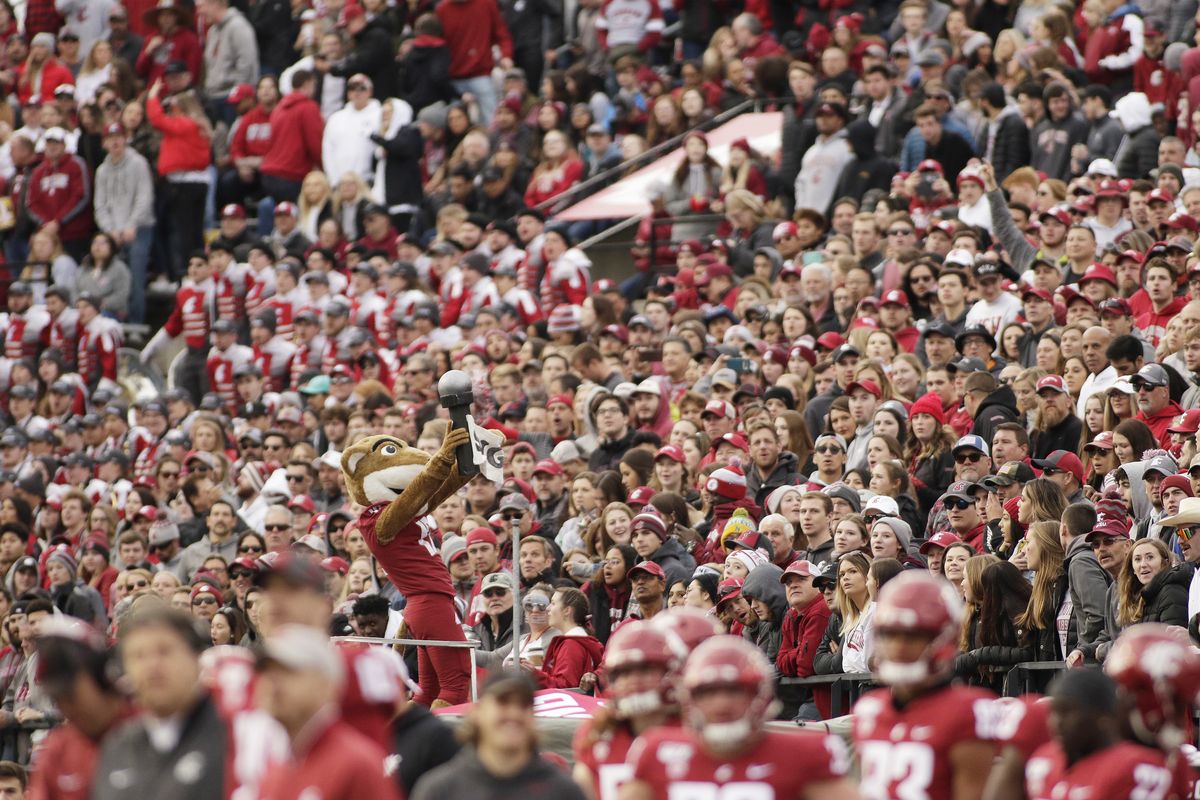 In this Nov. 16, 2019, photo, a packed crowd looks on as Washington State mascot Butch T. Cougar performs during an NCAA college football game between Washington State and Stanford in Pullman, Wash. The athletes weren