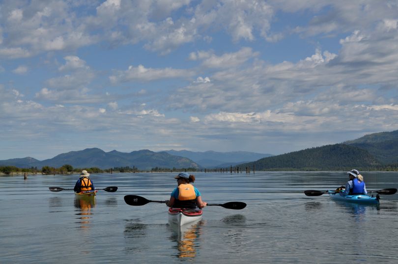 A sea kayak contingent of the Spokane Canoe & Kayak Club paddlers gathers on the Pend Oreille River downstream from Cusick, Wash., boat ramp to learn about wildlife habitat projects underway by the Kalispel Tribe and the Pend Oreille County PUD. (Rich Landers)