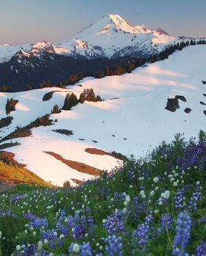 Mount Baker, meadows and beautiful sunrises await hikers at Welcome Pass. (Jason Racey / Washington Trails Association)