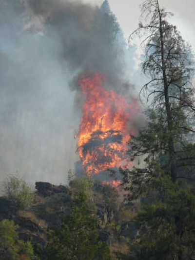 
In this July 19 photo, a wildfire burns in the Frank Church-River of No Return Wilderness near Riggins, Idaho. National forests in Idaho, Montana and New Mexico have become 