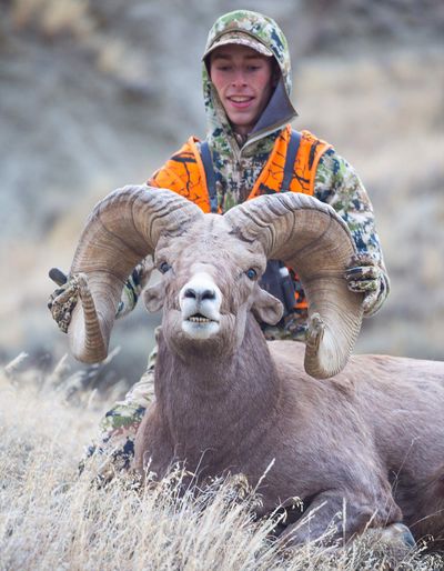 Justin Sheedy holds the horns of the bighorn sheep he shot last October while hunting in the Missouri River Breaks. The ram has scored 208 3/8, good enough to tie the current world record hunter-shot ram based on the Boone and Crockett Club scoring system. (Courtesy photo)