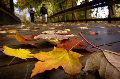 
Colorful leaves falling to the ground signal a new season. Associated Press
 (File Associated Press / The Spokesman-Review)