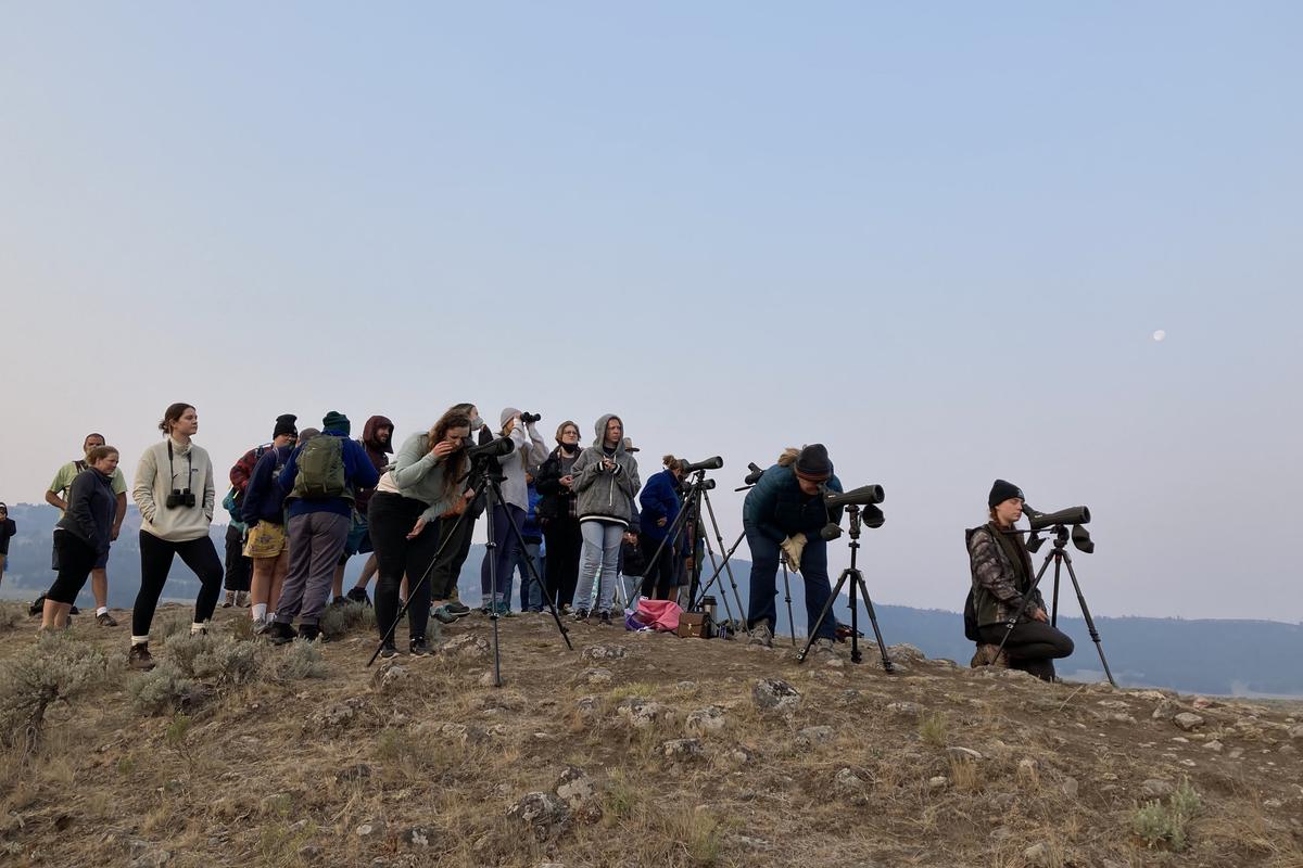 Eastern Washington University creative writing students watch wolves through scopes at Yellowstone National Park.  (Courtesy of Jonathan Johnson)
