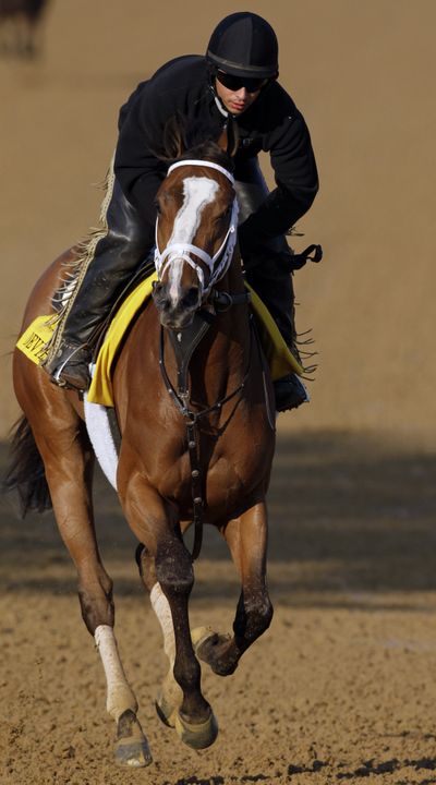 Horacio De Paz exercises Devil May Care, which has won three of five career races.  (Associated Press)