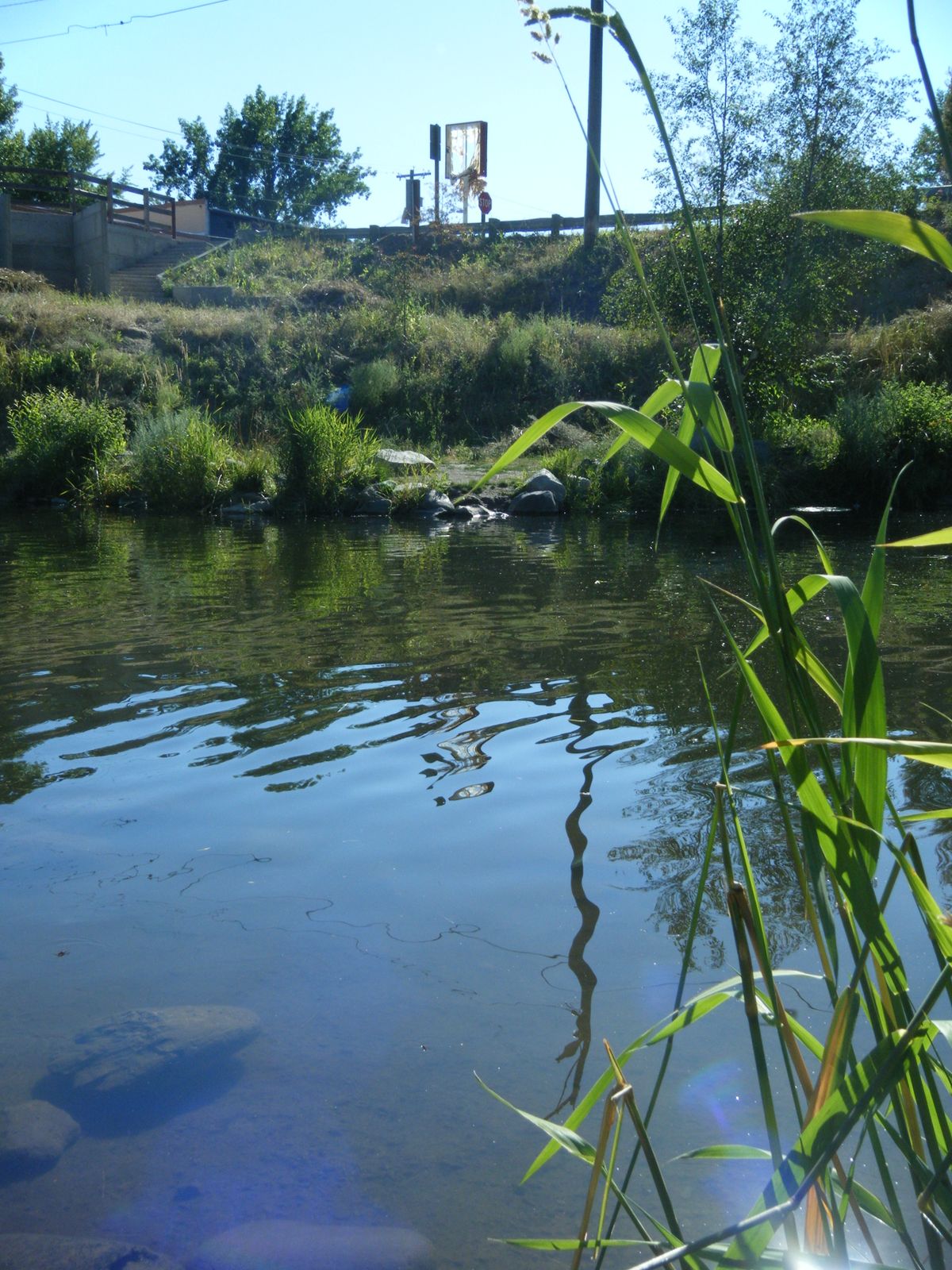 That Springdale gas station fire did immediate damage like melt the old sign, but the dynamic creek running on the backslide of the slope will pay the price in the form of toxins leeching from the burned abandoned gasoline station. Frogs, fish and micro-invertebrates will be affected, and so will the locals who use the river for recreation. (Marc Gauthier / Down to Earth NW Correspondent)