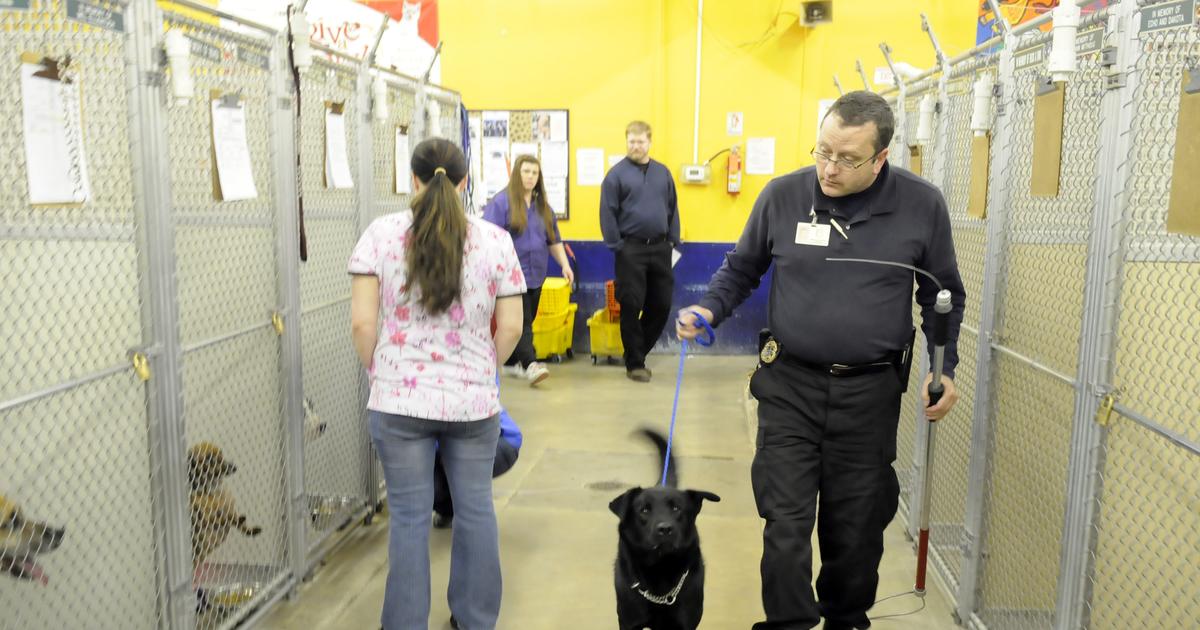 Animal control options limited The SpokesmanReview