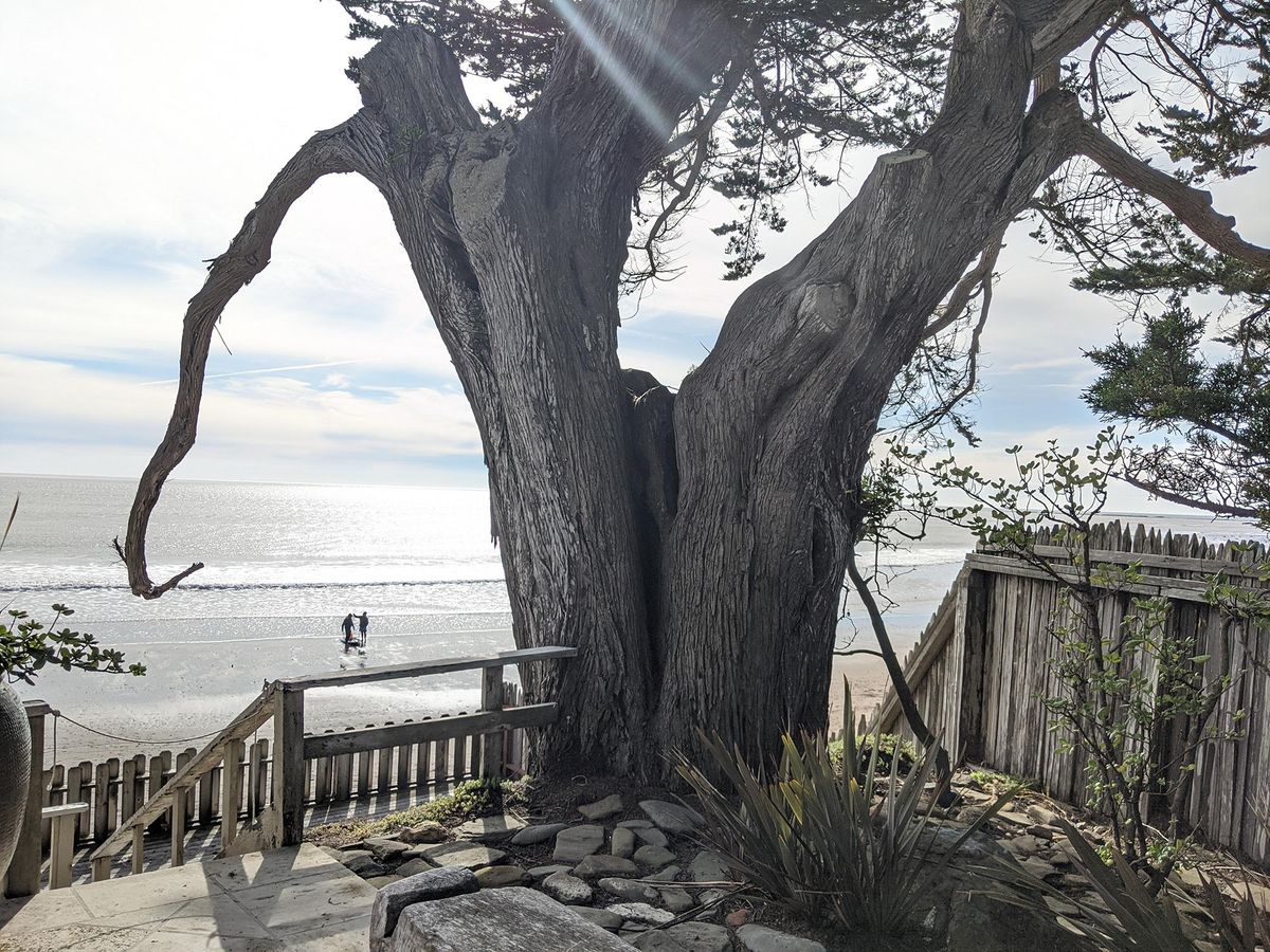 Bolinas, California Feb. 22, 2020 The SpokesmanReview
