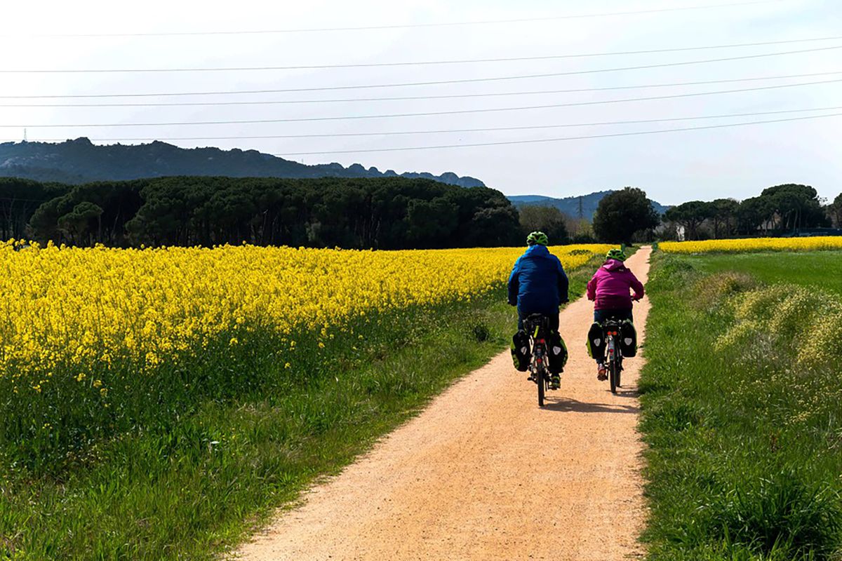 Cyclists ride along a field of blooming canola, which, for about a month every spring, light up the Spanish landscape with their neon-yellow hue.  (Dina Mishev/For the Washington Post)