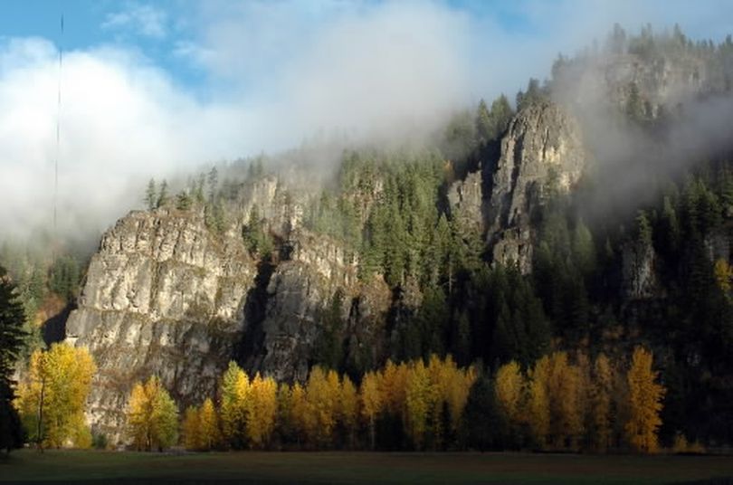 Fall colors and autumn leaves light up a foggy morning on the Coeur d'Alene River. (Jesse Tinsley)