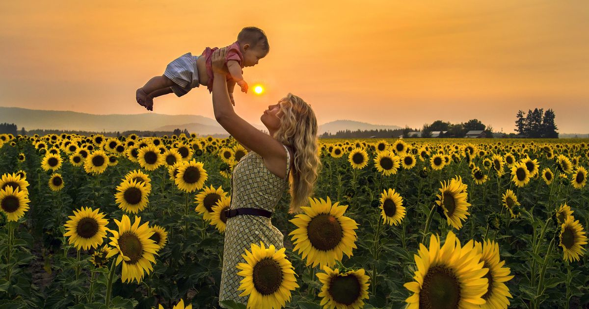 If you buy your birdseed at Costco, the sunflower seeds might be from