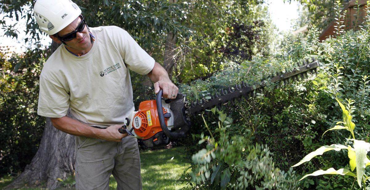 Hammond trims shrubs at a client’s home in Westminster, Colo., a task that homeowners can do themselves. Dead branches will likely come down during winter, which is why it’s so important to clean up a shrub beforehand. (Associated Press)