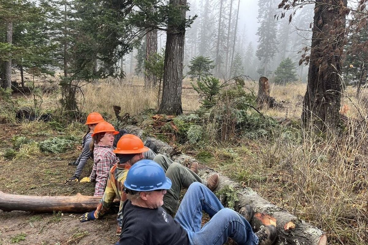 Volunteers clear a fallen tree from a trail at the English Point Recreation Area. (Courtesy of Barbara Sammut)