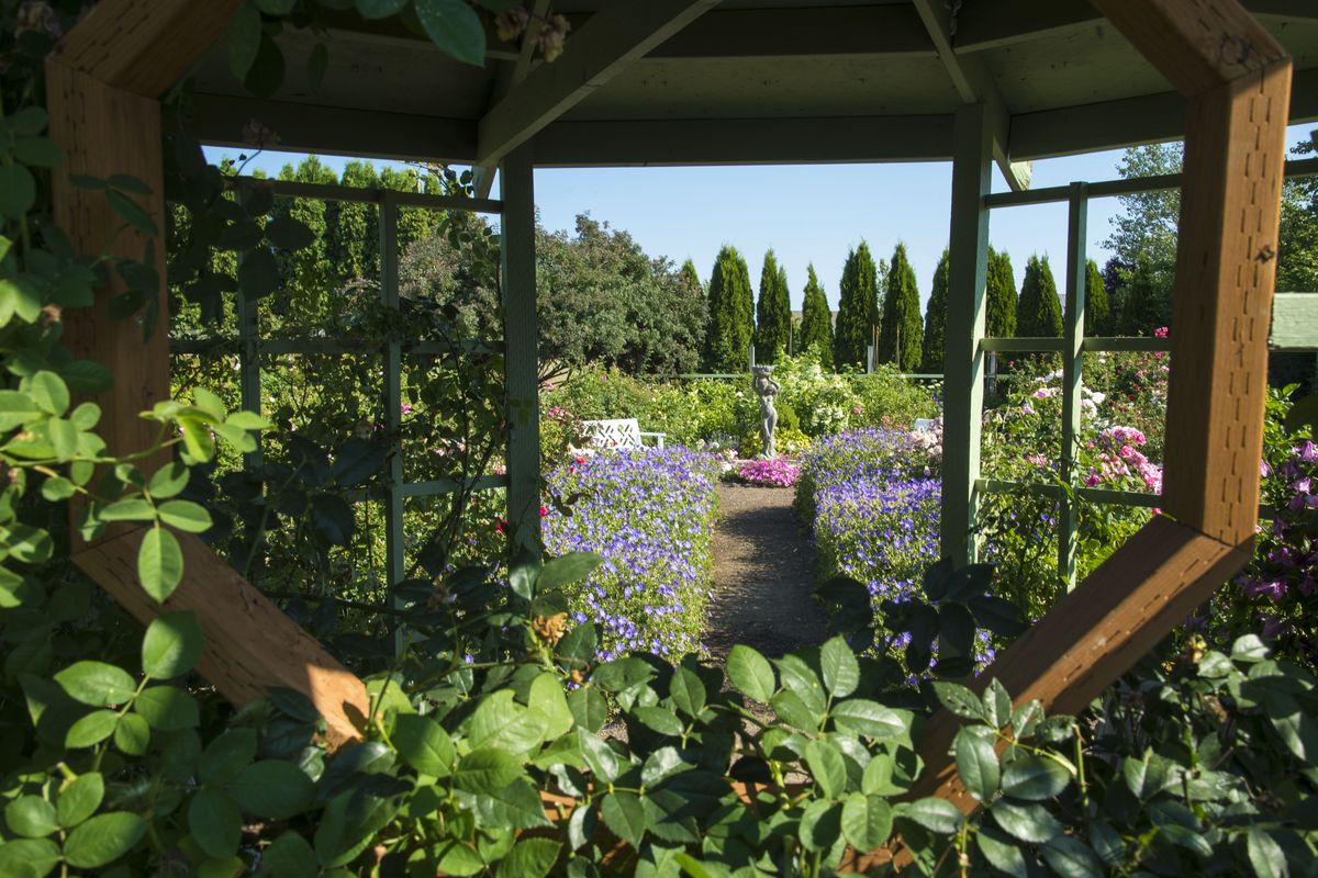 The Northland Rosarium uses gazebos, flower-lined paths and statues to create the feel of a traditional English garden. (Colin Mulvany)