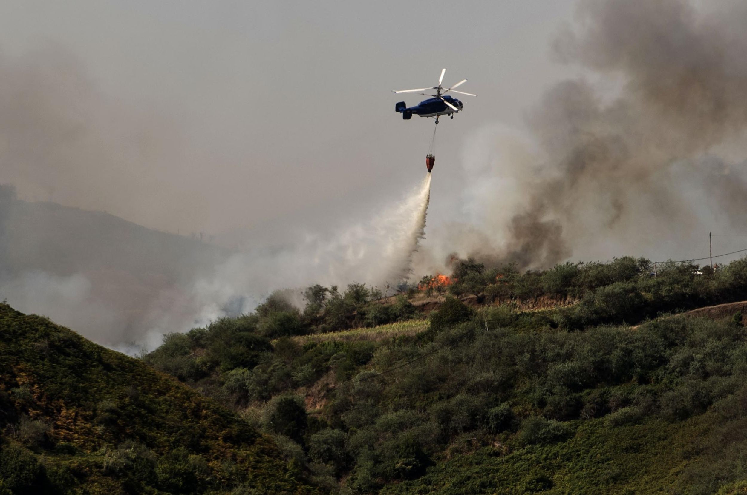 Thousands flee from ‘monster’ wildfire on Canary Islands | The ...