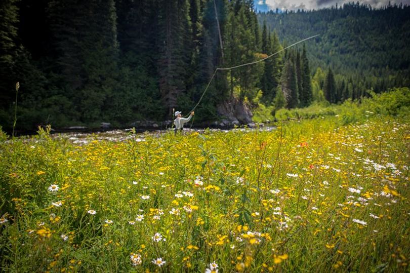 August fly fishing in North Idaho. (Michael Visintainer)