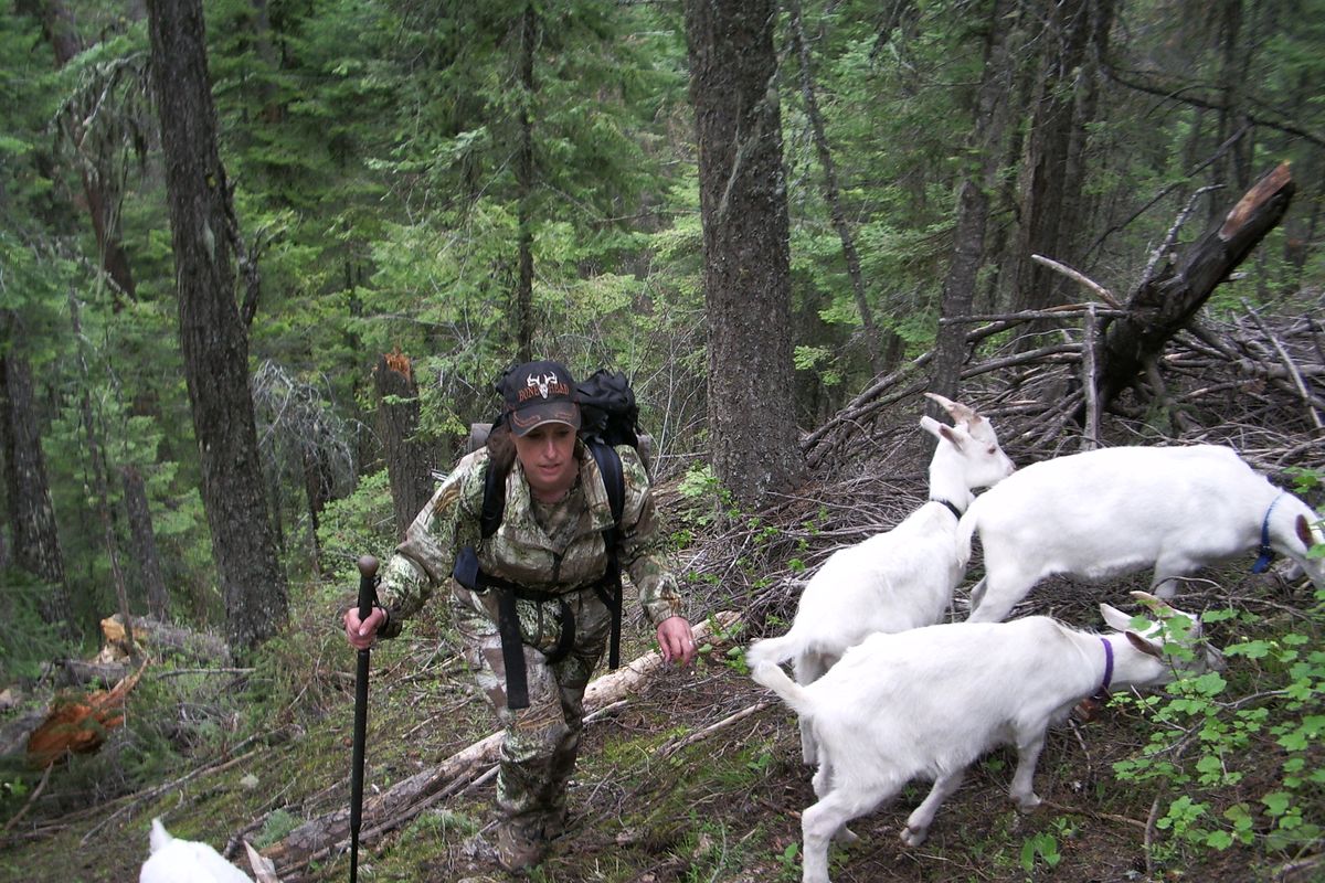Thia Anderson, a mother of three boys and nurse practitioner from Palouse, WA, is among 10 finalists from across the country in the Extreme Huntress 2013 Contest presented by Tahoe Films. In addition to hunting, she also enjoys other outdoor activities such as hiking with pack goats. (Courtesy)