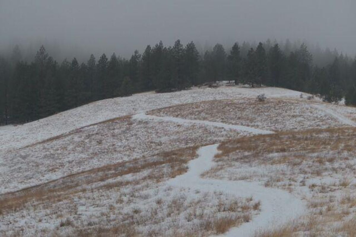 U is for uphill. Photo taken at Phillips Creek by Lisa Giegel.  (Lisa Giegel)