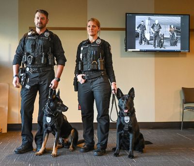 Providence Security Officer Jereme Daw and Duke, left, and Officer Rachel Adams and Rosie gather for a public introduction, Tuesday at Sacred Heart Medical Center. The two new K-9s have been added to help deter violence at Providence facilities.  (DAN PELLE/THE SPOKESMAN-REVIEW)