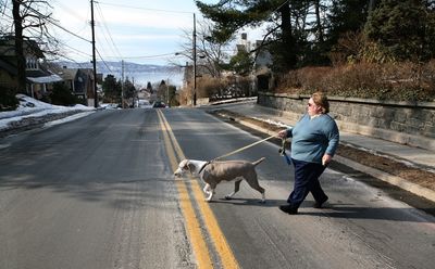 Kathy McAvoy-Rogalski walks Gunner,  whom she takes care of for a client in Tarrytown, N.Y. McAvoy-Rogalski and her husband bought a pet-sitting franchise a year ago and now regularly care for animals daily.  (Associated Press / The Spokesman-Review)