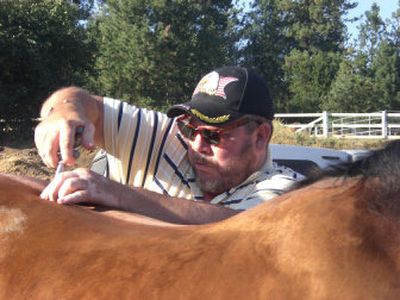
Equine chiropractor Joe Fitzpatrick works on a horse at the Flaherty Ranch in north Spokane. Most people aren't aware that their horse may be out until they are really out, he said.
 (JUDY HARRIS / The Spokesman-Review)