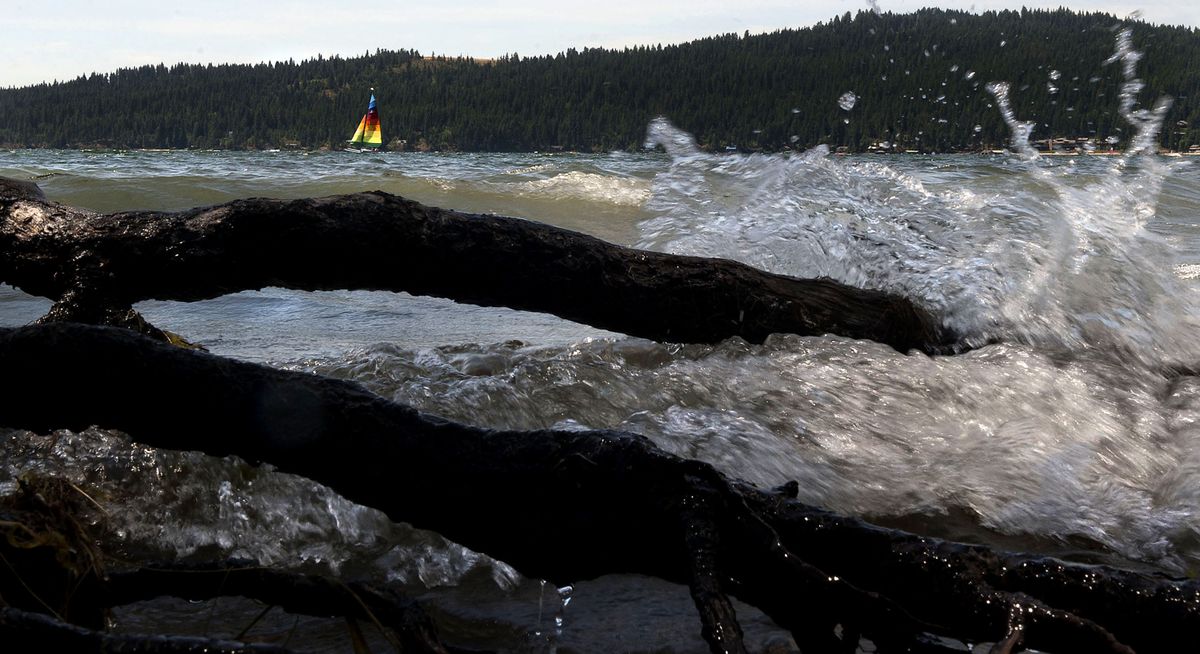 A sailboat cruises past exposed roots Wednesday near City Beach in Coeur d’Alene. A low snowpack resulted in low water levels in the area. (Kathy Plonka)