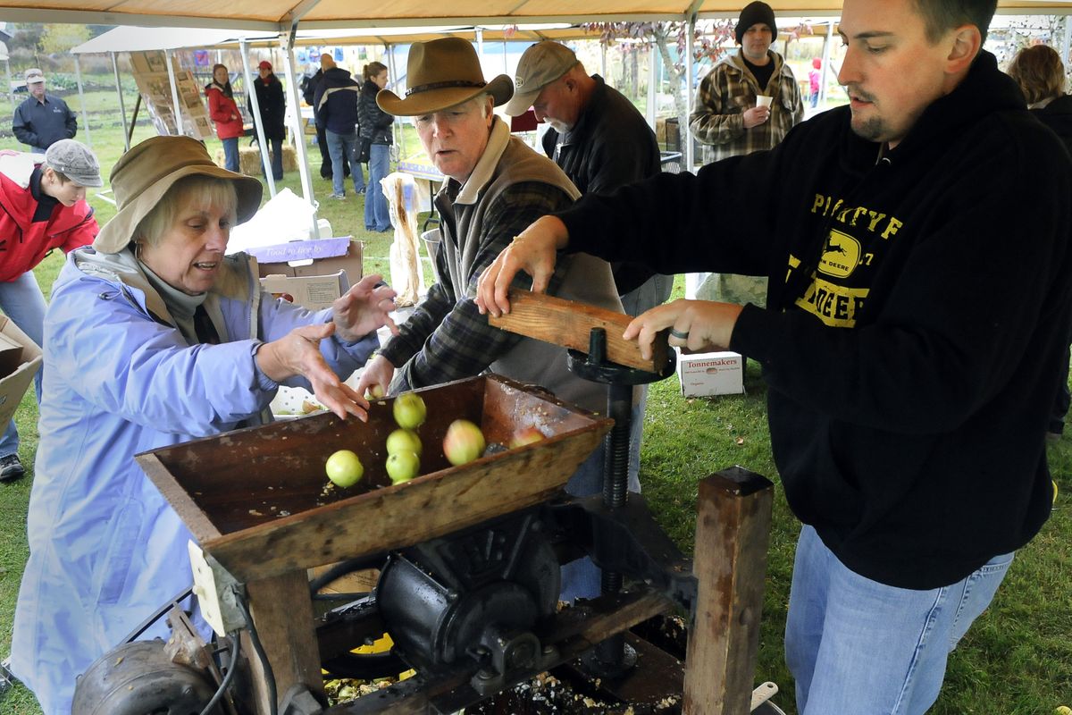 Linda Michal, 62, and her husband, Ernie Hawks, 62, of Athol,  along with Adam Hoefert, 26, of Coeur d’Alene, work the apple press to produce cider at the Roots Community Supported Agriculture  harvest party on Saturday in Dalton Gardens. Michal said they were tossing in Honeycrisp, Granny Smith, Fuji and any other kind of apples into the press.  (PHOTOS BY DAN PELLE)