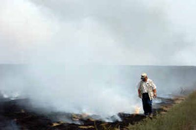 
Sherm Takatori, of the Idaho Department of Agriculture, inspects a field of burned grass stubble Tuesday on the Rathdrum Prairie. The field was part of about 300 acres burned before Idaho officials shut it down because of air quality concerns.
 (Jesse Tinsley / The Spokesman-Review)