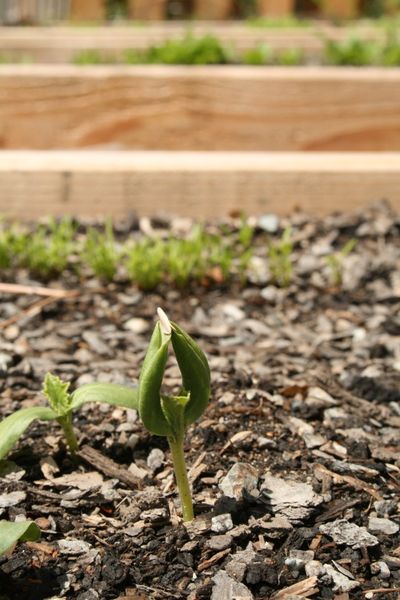  (Megan Cooley / The Spokesman-Review)