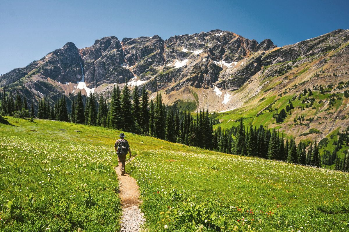 A hiker walks the Pacific Northwest Trail in the Pasayten Wilderness in Washington.  (Courtesy of the Pacific Northwest Trail Association)