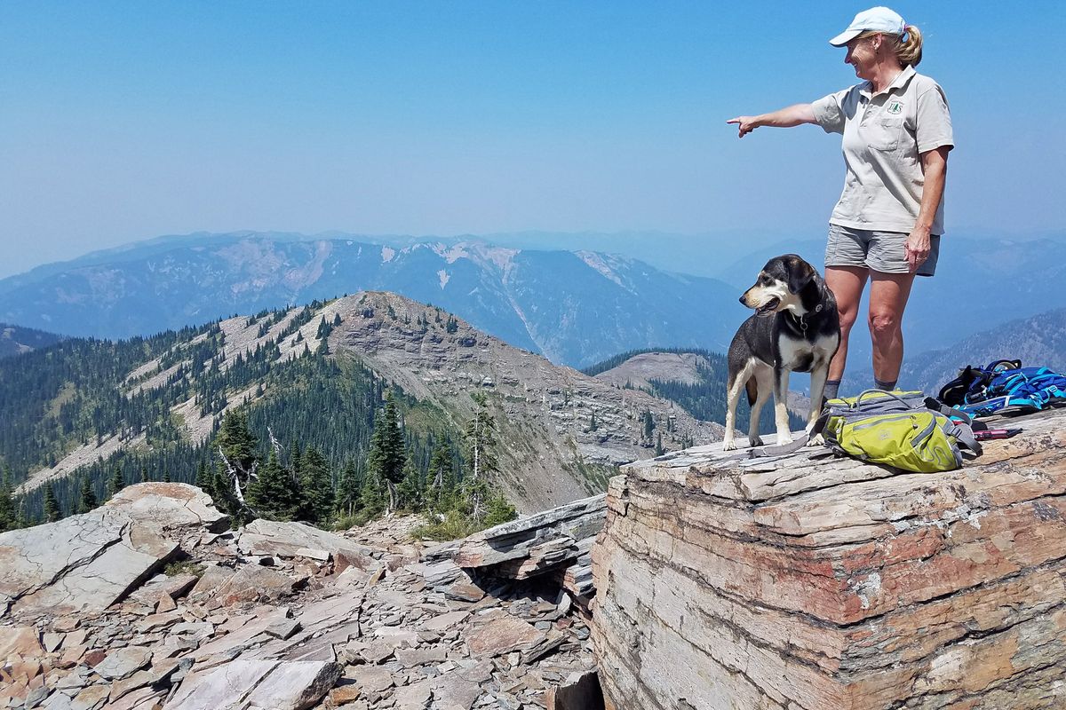 Mary Franzel and her dog, Morgan, are goat ambassadors on Scotchman Peak helping to keep hikers and mountain goats separated to avoid dangerous conflicts. (Friends of the Scotchman Peaks Wilderness)