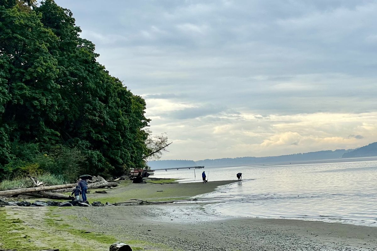 The beach at Dash Point State Park looks out on the south Puget Sound.