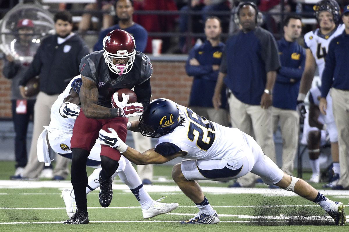 Washington State’s Vince Mayle, recently added to the Biletnikoff Award watch list, ranks sixth in the nation with 117 receiving yards per game. (Tyler Tjomsland)